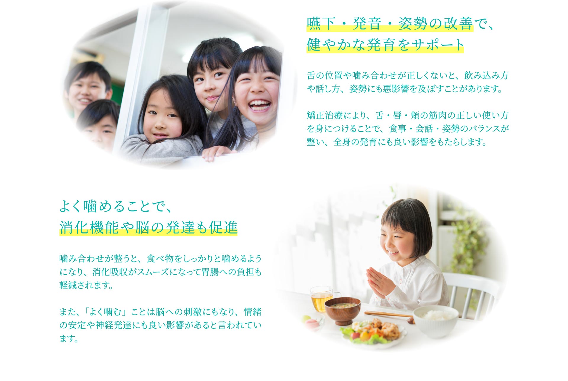 情緒の安定 神経発達