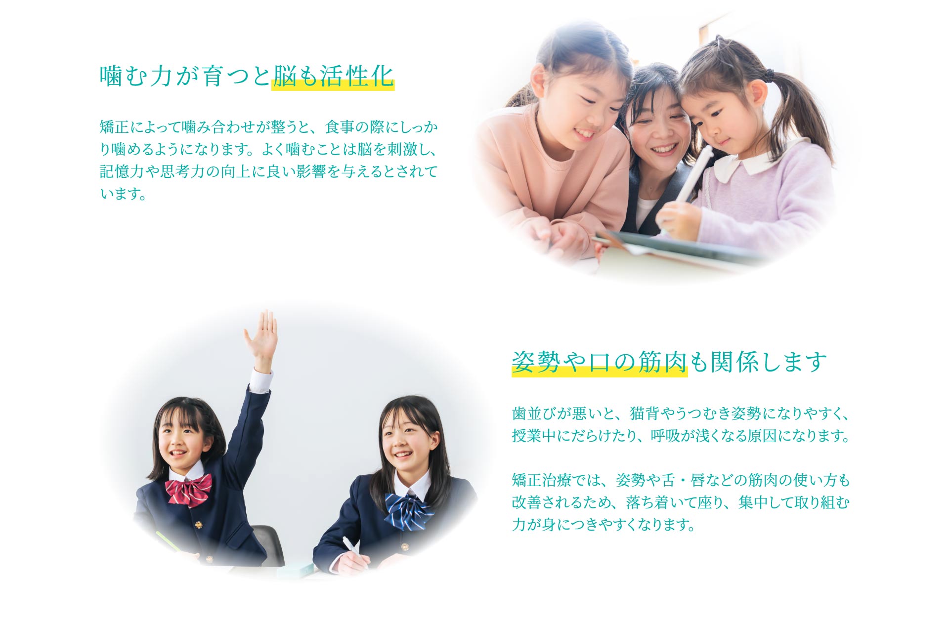 噛む力が育つと脳も活性化